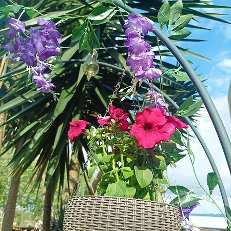 Cavado Terrace Studio Parada de Tibaes Εξωτερικό φωτογραφία